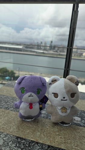 ちゃんとお写真撮り直しました…！もちたうんさん、満足そう。しゃちょたうんさんはいつでも堂々としてます。見習いたい…。