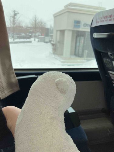雪がたくさんふったんだよ。このあとが大変だった。
