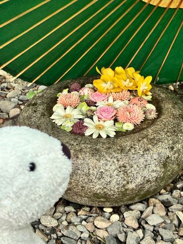 お花今年もかわいいじゃん。