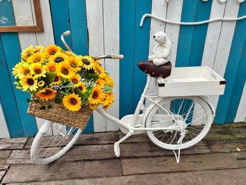 さとには大きいかも🚲