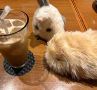 あれくさんだとワッフルとなかまたち