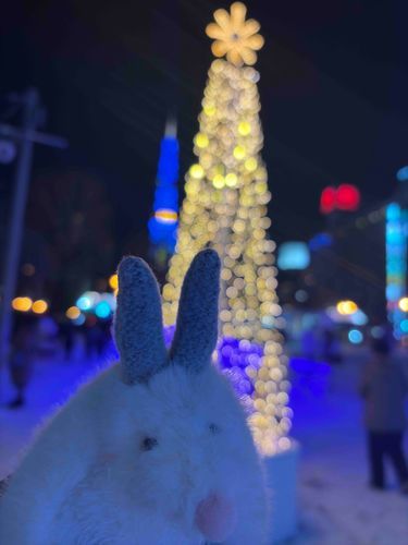 いるみねぇしょん
きれいだった

(あれくさんだ🐰)