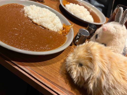 ＵＣＣコーヒーの
カレーと コーヒー！

はじめていったけど
カレーも
コーヒーも
とても おいしかった、よ！

(ワッフル🧇と あれくさんだ🐰)