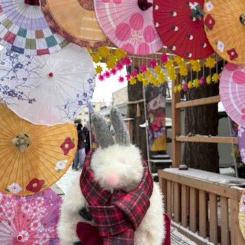 おはな  たくさんで
きれいな  じんじゃ
だったなぁ🌸

(あれくさんだ🐰)