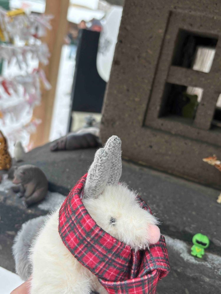 おはな  たくさんで
きれいな  じんじゃ
だったなぁ🌸

(あれくさんだ🐰)