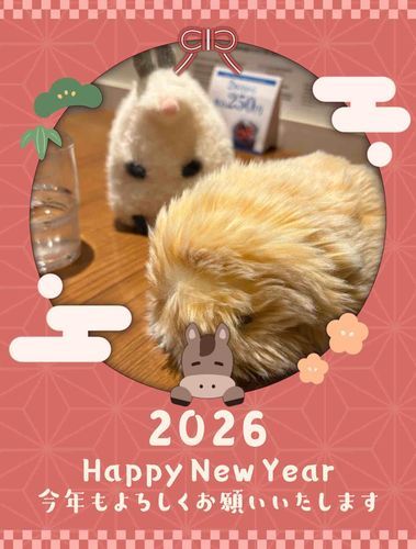 今年も、ワッフルとあれくさんだをよろしくお願いいたします。

(主)