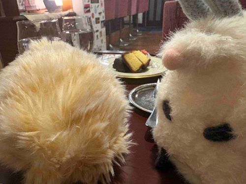いきつけの  かふぇ  に
いってきた(🐰)

たのしかった、おいしかった！
かぬれ！(🧇)
