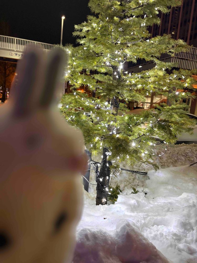 さむいね
でも  そとは  キラキラ

(あれくさんだ🐰)