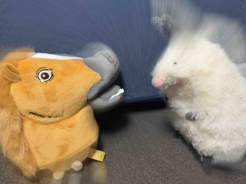 みちとの  そうぐう  なんだな

(あれくさんだ🐰)