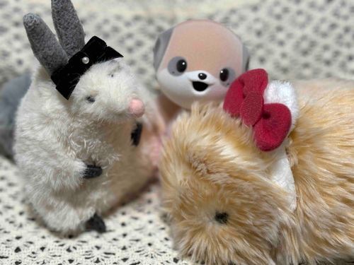 3にん
えがおで😊
しゅうごうしゃしん！
