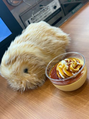 ふっふー⤴︎⤴︎

ワッフル🧇