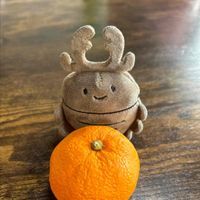 くわお