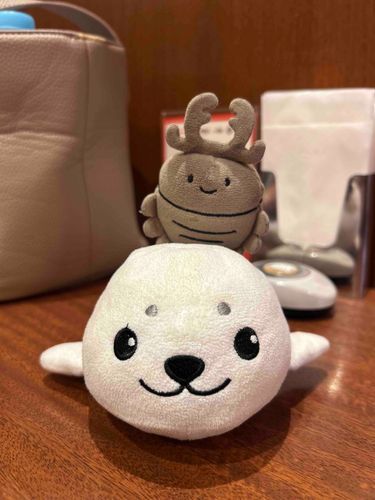 このまえ、ざらおくんと、ろいほいった！なんか、ざらおくんとこのにんげん？ばたばた？してる、らしい。