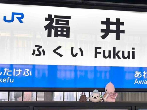 くわと、ざらおくん（+おともだち）で、ふくいけん？いったよ。ざらおくんちの、にんげん、いそがしくて、くわんちのひとが、いっしょに、つれてった！