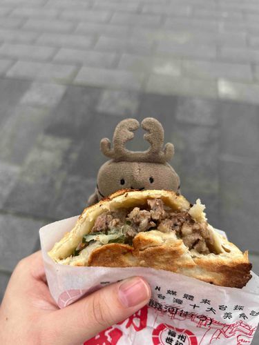 くわ、たいわんに、いって、ふなたび、で、かえってきたんだよ。にんげんは、しょくちゅうどく、に、なって、ずっとねてたけど💦