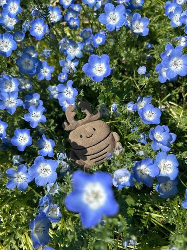 くわは、しぜんがすきー！ねも、ふぃら？