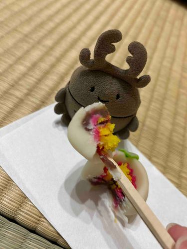 さどう？のばしょで、おかし、もらった！