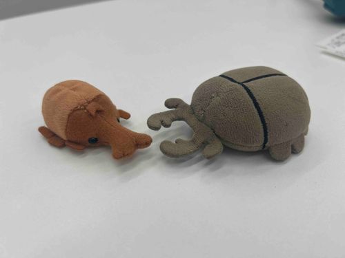 おとおとが、できた！