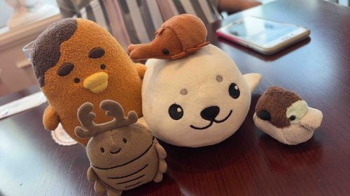 みんなでしゅうごおー！
びょおいんに、めんかいだよ！
げんきになるといいね！