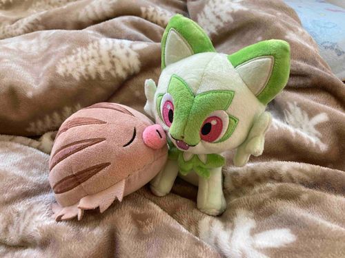 朝から仲良くニャオハ兄ちゃんと
遊んでるっち‼️
今日もよろしくっち！
ご主人さんおでかけするから
お留守番っち🏠