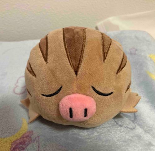 ご主人さんがまた熱出したから
一緒にそばに居てあげるっち♥️
早く元気なご主人さんになって欲しいっち🐗✨️