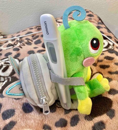 みんなおはようトノ🐸💚
ご主人さんの熱がやっと
下がってきたトノ🐸✨️
でも油断禁物だトノ🐸💦💦
