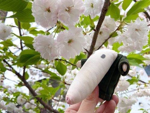 八重桜だ、良い匂いがするな。