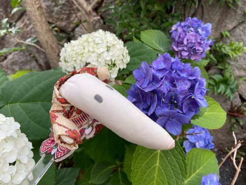 家の紫陽花が、綺麗に花を咲かせていた。しばらく楽しめそうで何よりだ。