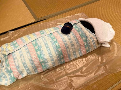 木乃伊じゃないよ。お風呂あがりのジャンボ。
お腹にはもちあつくんが乗ってたの。