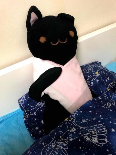 これは去年の写真。
寒いからルームメイトのマフラーかりたの。