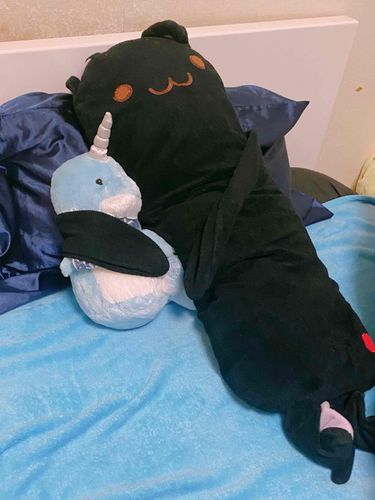 たくさんSNSでお友達できそうで嬉しいジャンボだよ。

今日はゼニスくんとお昼寝。