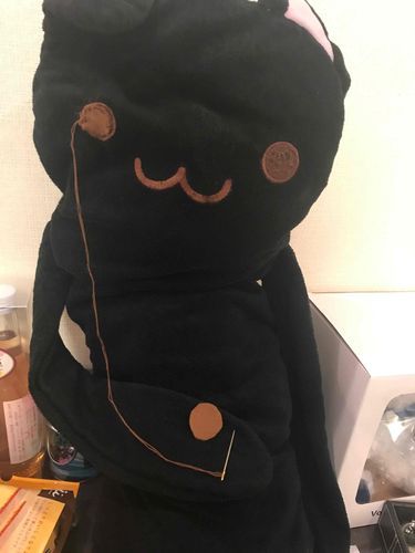 懐かしい写真出てきたよ。

ジャンボ、ぬい生が長いから目の手術した時の写真なの。
