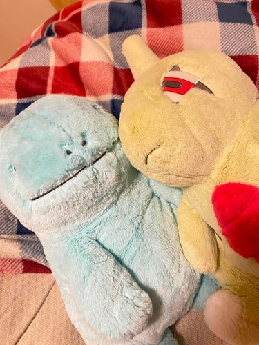 久しぶり。

たけるとヨギだよ。