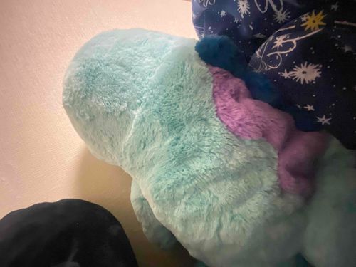 ルームメイトに、ちょっとお留守番しててね、って言われたからまってたのに暖房つけ忘れられた。さむい。

タケル