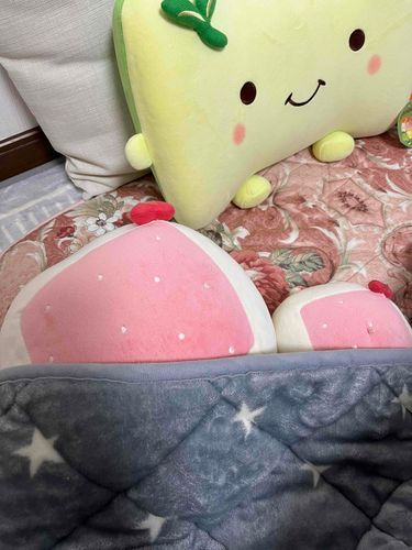 こたつに逃げこんだけど、すぐに引き剥がされてしまったよ(；ω；)
こたつでかおりぃのまくら係をしている抹茶とうふのみどりちゃんもいるよ。