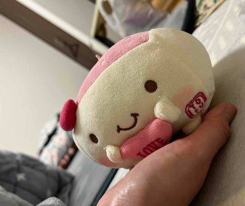 てのりとうふ💕
GW後半はご主人様はお昼寝したりしておうちにいるからわたしたちをたくさんもふもふしてくるよ。手に乗せたりして楽しんでるみたい。