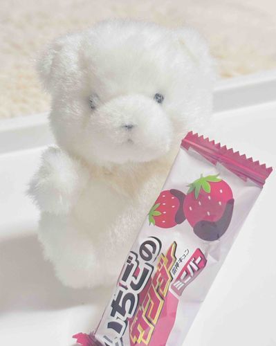 かいぬしのともだちがかいぬしにくれたおかしをかいぬしがわたげにおすそわけしてくれた。