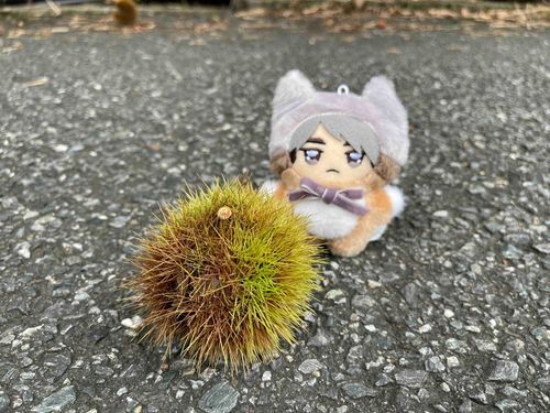 ｢くりや!!｣
🍊｢あぶないからね｣