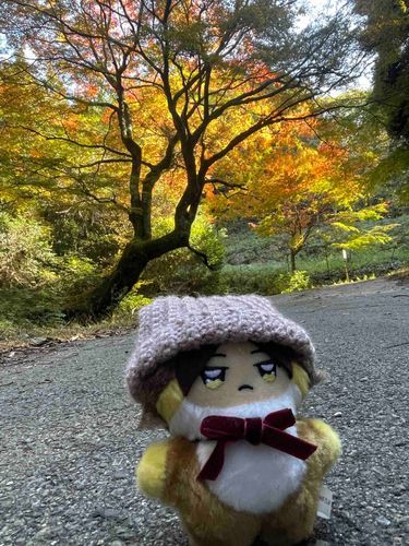 ｢ みんなひさりぶり。げんき？
やっとあきになったから、もみじ見てきたよ ｣