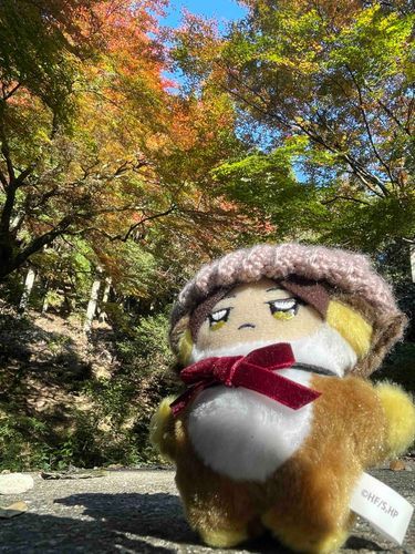 ｢ みてー、おおきく見えるでしょ？ ｣