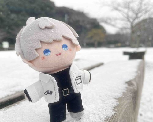 ｢珍しく雪が降ってるな｣
この後、🍊は全力で遊びました。