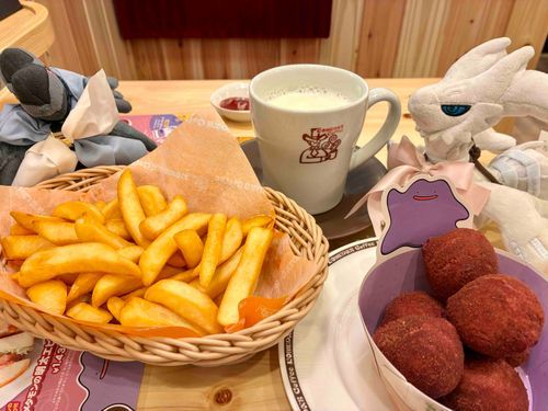 コメダ。みんなメタモン食ってたから(！？)

久しぶりにひなちゃんとかーくんです。