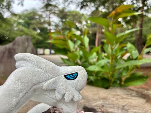 ソロ活は初めてです