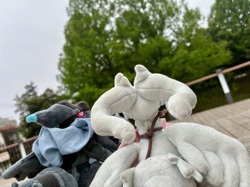 隣の神社に参拝(画像はかげひな)

神社なんて1億年ぶりだけど、
おみくじで吉を引いただけ