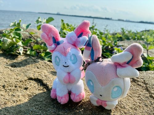 お久しぶりです 海です 海
もう今年も夏のはじまりですヮョ