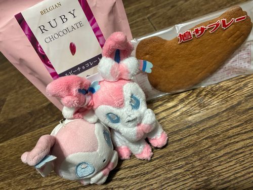 マァとおでかけ! 富澤商店でルビーチョコを、地下の銘菓コーナーで鳩サブレを買ったよ
さて……このルビーチョコでどんなお菓子を錬成してやろうか。げへへ
