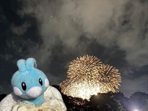 なあいのうえ、はなびはたのしかったか? ちるはちょっとやきもちやいてます
