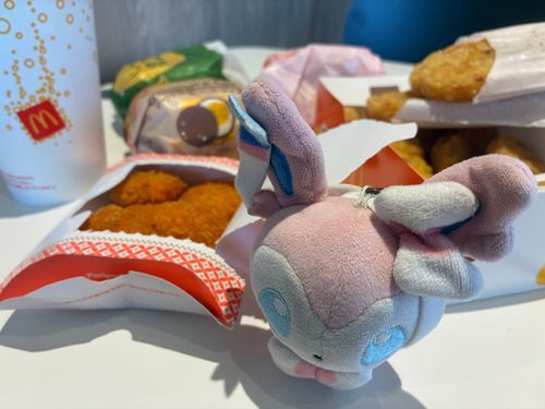 客の注文の多いマクド

「どうかグリドルをください」
「メガマフィンもください」
「月見マフィンもください」
「ハッシュポテトを三枚ください」
「期間限定サイドもございましたらください」
「デザートもお願いします」

店員「…………」

「注文はこれだけです」