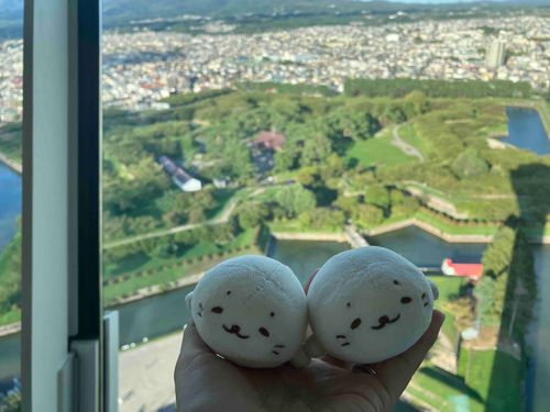( ◜ ·̫ ◝ )「五稜郭タワーに登ったきゅ。高すぎて尻尾が震えたきゅ(怖)」