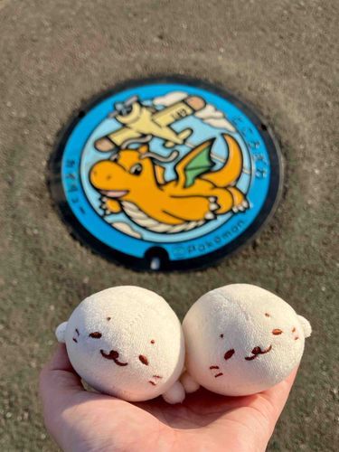 ( ◜ ·̫ ◝ )「カイリューのポケふたを見にきたきゅ。カイリューもなかなか可愛いきゅね！」